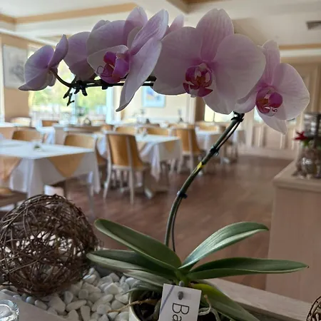 Kieferneck Hotel *