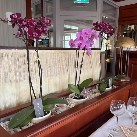 Kieferneck Hotel Bad Bevensen